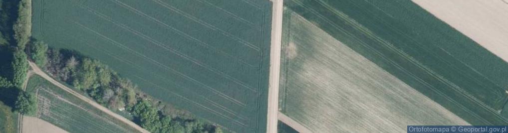 Zdjęcie satelitarne Pruszyńska ul.