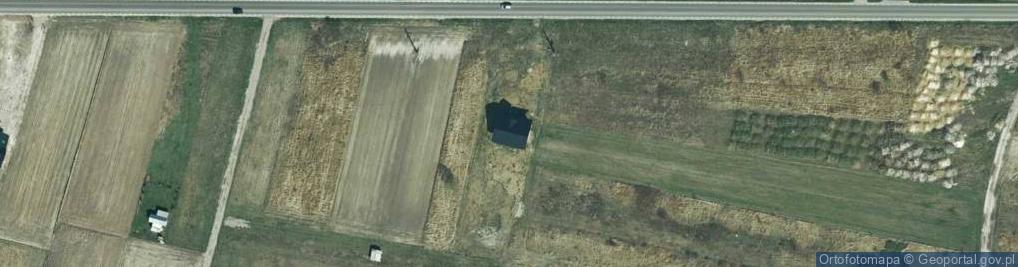 Zdjęcie satelitarne Pruszkowskiego Witolda ul.