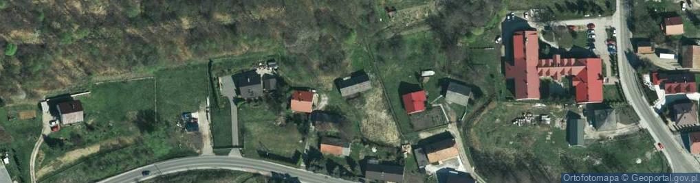 Zdjęcie satelitarne Pruszkowskiego Witolda ul.