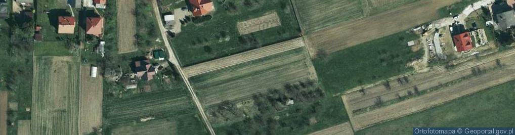 Zdjęcie satelitarne Pruszkowskiego Witolda ul.