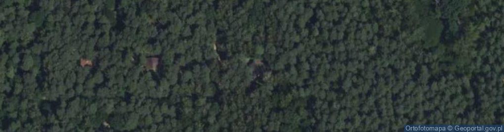 Zdjęcie satelitarne Prace Duże ul.