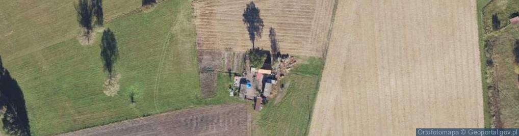 Zdjęcie satelitarne Prądocin ul.