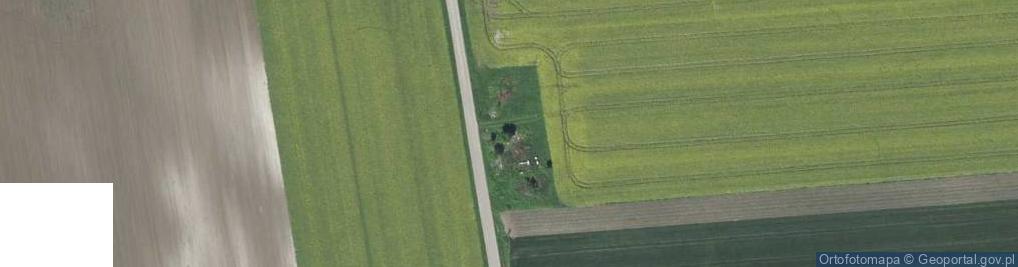 Zdjęcie satelitarne Prandocin ul.