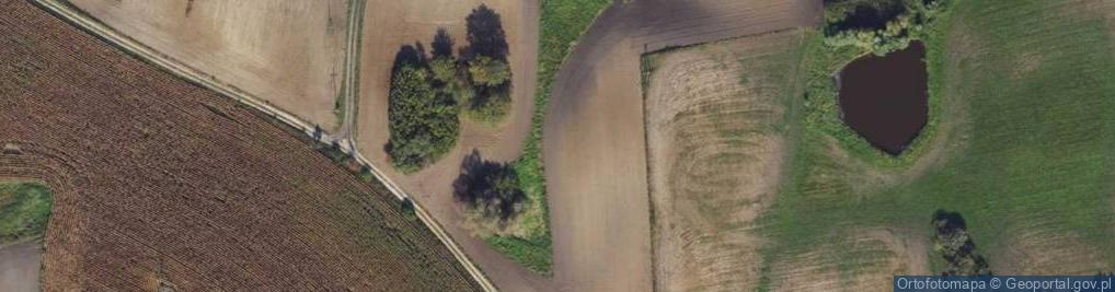 Zdjęcie satelitarne Prochy ul.