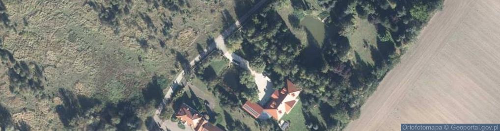 Zdjęcie satelitarne Pruszewiec ul.