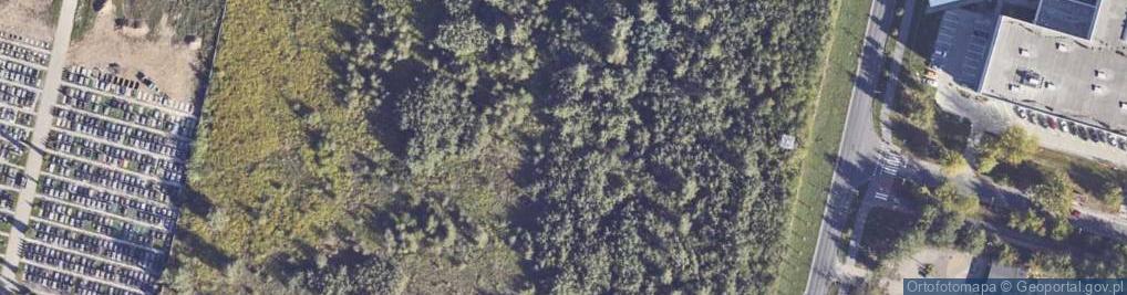 Zdjęcie satelitarne Przejazdowa ul.
