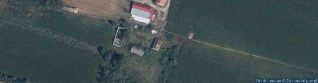 Zdjęcie satelitarne Przeciszewo-Kolonia ul.