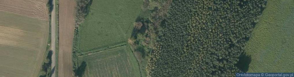 Zdjęcie satelitarne Przedborowice ul.