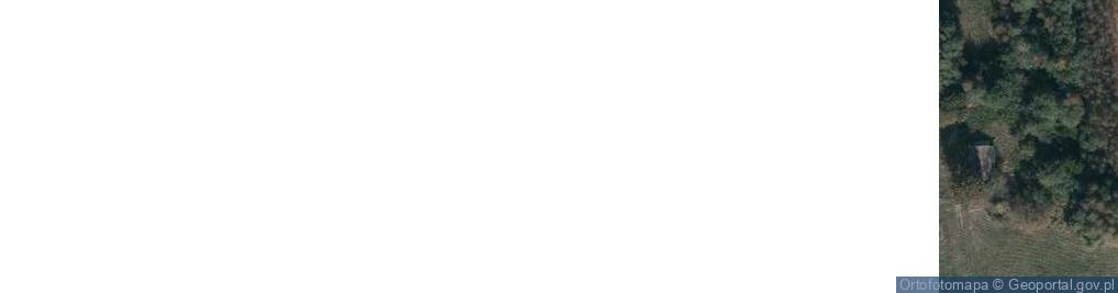 Zdjęcie satelitarne Przedbórz ul.