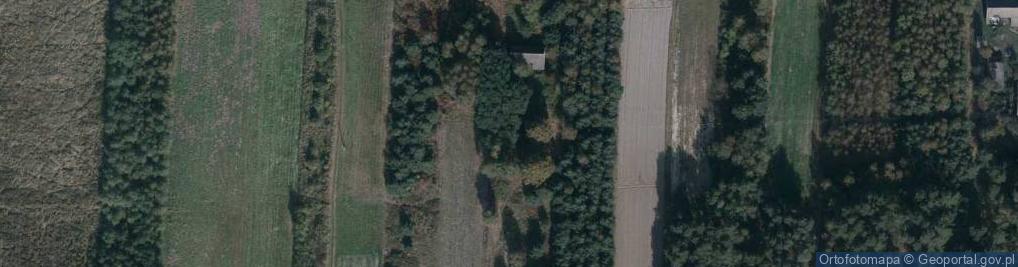 Zdjęcie satelitarne Przedbórz ul.