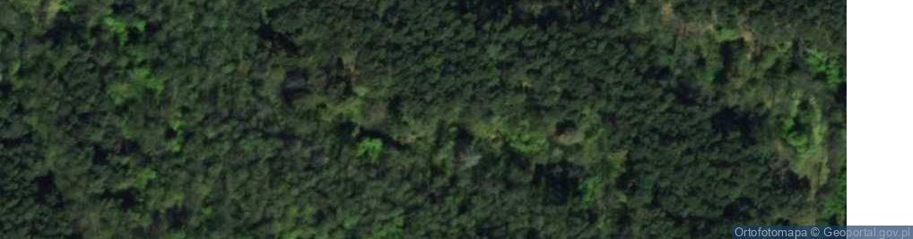 Zdjęcie satelitarne Przygłów Las ul.