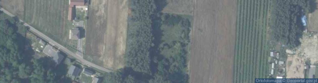 Zdjęcie satelitarne Przyłęk ul.
