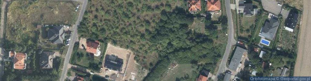 Zdjęcie satelitarne Przylep ul.