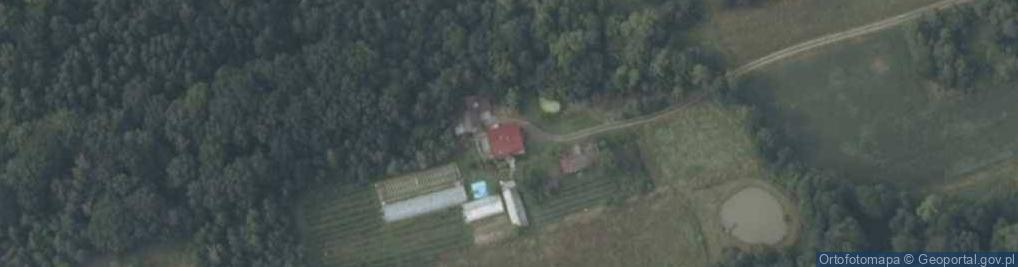 Zdjęcie satelitarne Przytkowice ul.