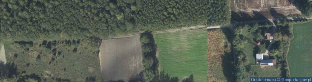 Zdjęcie satelitarne Przyjazna ul.