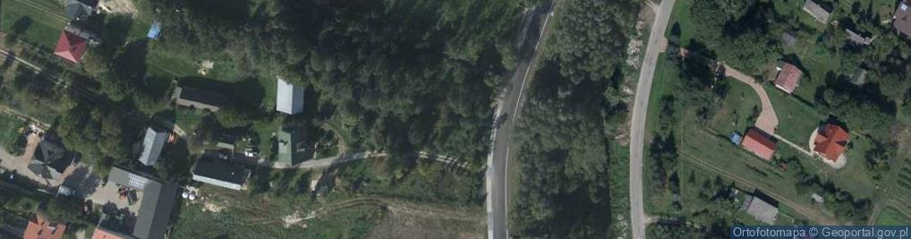 Zdjęcie satelitarne Przedmieście Płuskie Zachód ul.