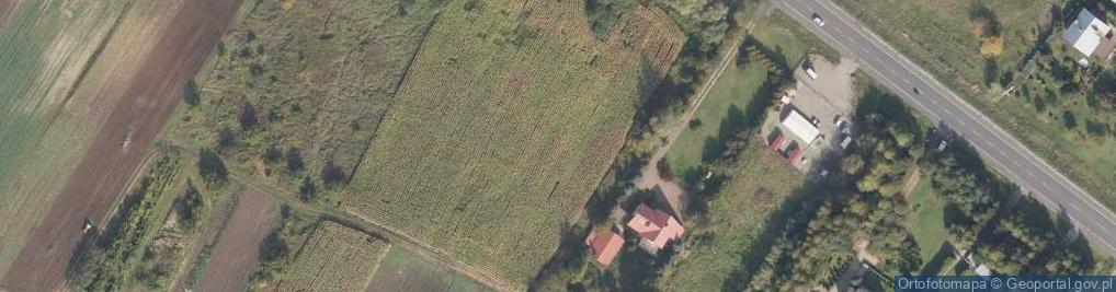 Zdjęcie satelitarne Przemyska ul.