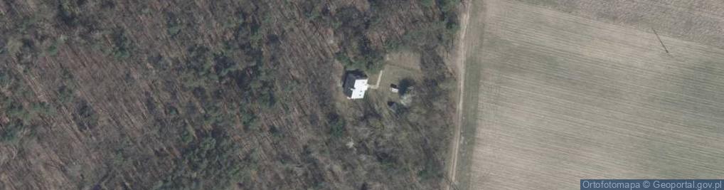 Zdjęcie satelitarne Prawdziwka ul.