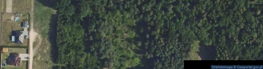 Zdjęcie satelitarne Prosta ul.