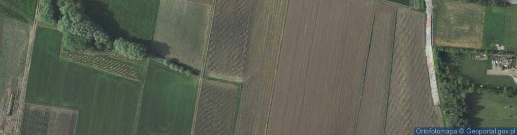 Zdjęcie satelitarne Przy Wierzbach ul.