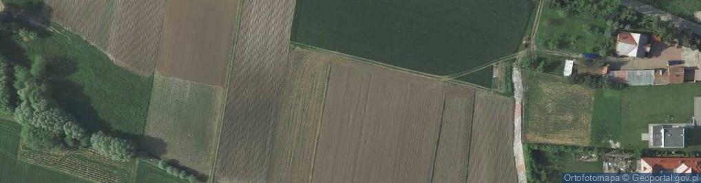 Zdjęcie satelitarne Przy Wierzbach ul.