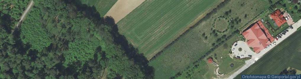 Zdjęcie satelitarne Przy Lesie ul.