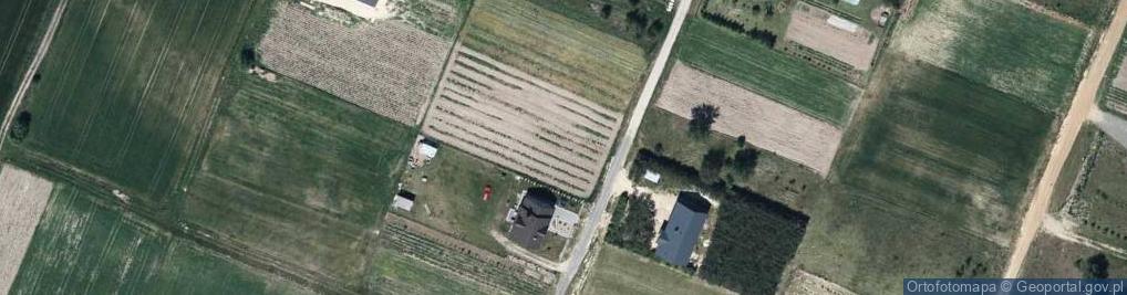 Zdjęcie satelitarne Prusa Bolesława ul.