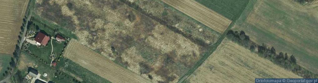 Zdjęcie satelitarne Pruskowiec ul.