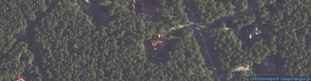 Zdjęcie satelitarne Prosta ul.