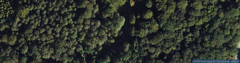 Zdjęcie satelitarne Pszczyńska ul.