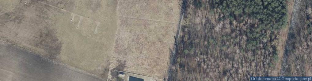 Zdjęcie satelitarne Pszczelna ul.