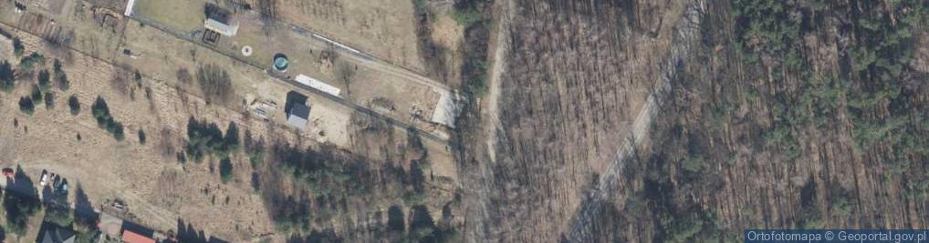 Zdjęcie satelitarne Pszczelna ul.