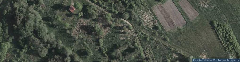 Zdjęcie satelitarne Pszenna ul.