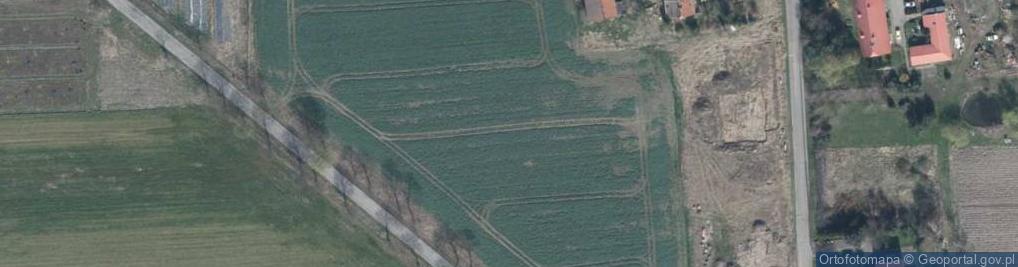Zdjęcie satelitarne Pszeniczna ul.
