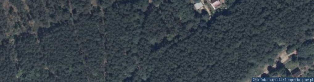 Zdjęcie satelitarne Psary ul.