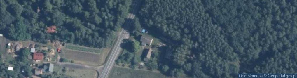 Zdjęcie satelitarne Pszczelnik ul.
