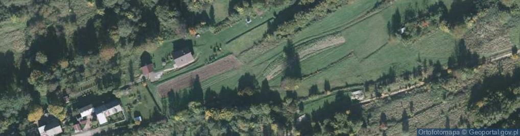 Zdjęcie satelitarne Pszczelarska ul.