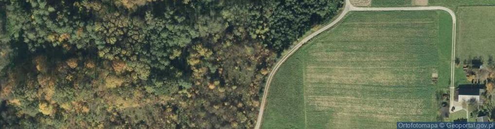 Zdjęcie satelitarne Pszenna ul.