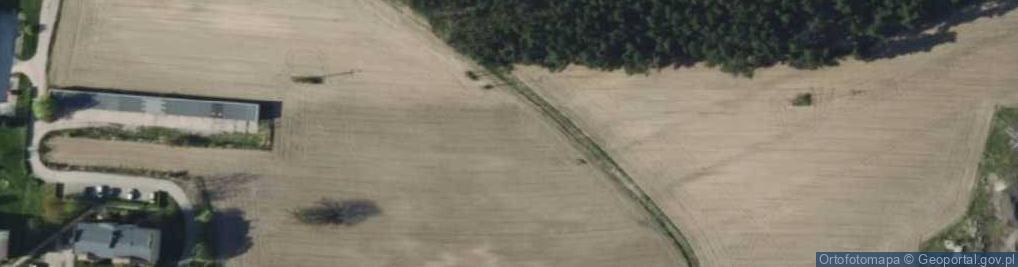 Zdjęcie satelitarne Pszczela ul.