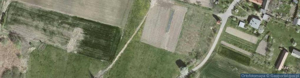 Zdjęcie satelitarne Pszczela ul.