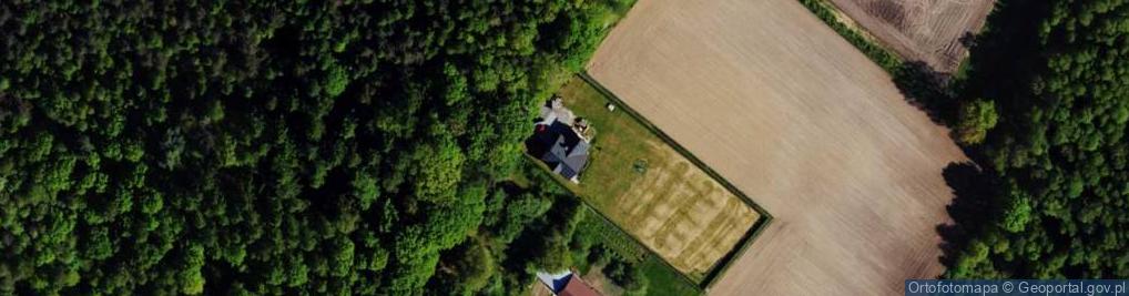 Zdjęcie satelitarne Pszczelarska ul.