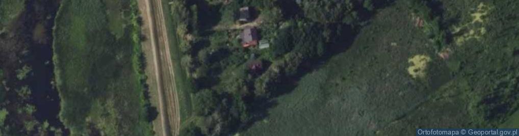Zdjęcie satelitarne Ptasia ul.