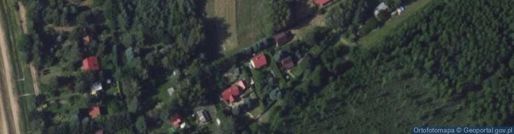 Zdjęcie satelitarne Ptasia ul.