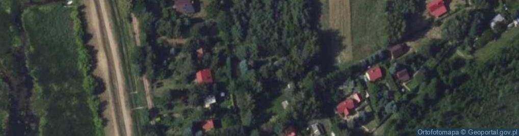 Zdjęcie satelitarne Ptasia ul.