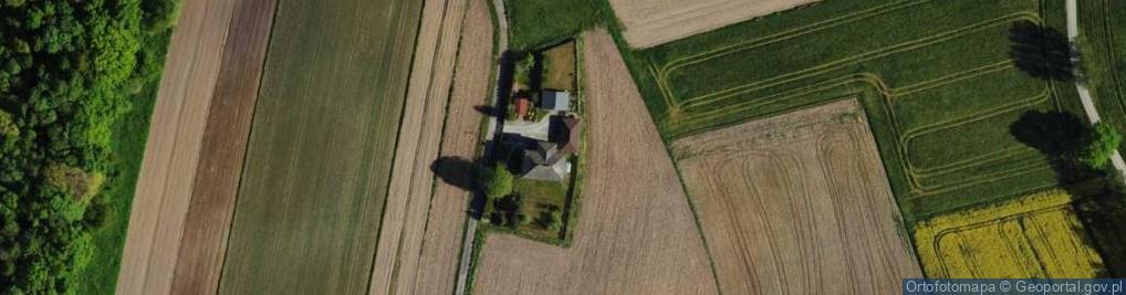 Zdjęcie satelitarne Ptaśnik ul.
