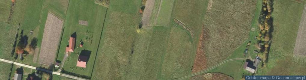 Zdjęcie satelitarne Ptaszkowa ul.