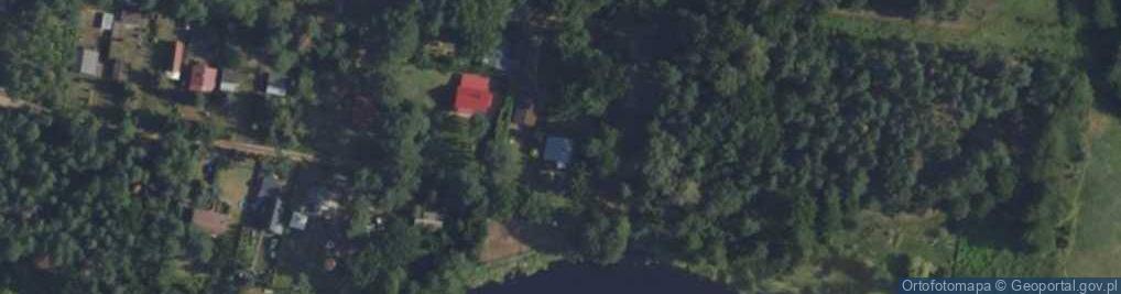 Zdjęcie satelitarne Ptasi Azyl ul.