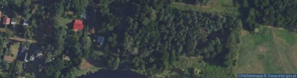 Zdjęcie satelitarne Ptasi Azyl ul.