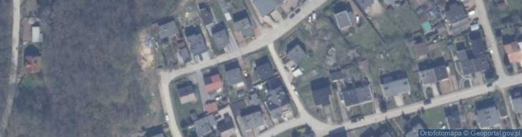 Zdjęcie satelitarne Ptach Jadwigi i Zofii ul.