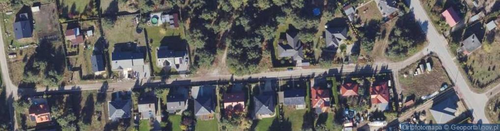 Zdjęcie satelitarne Puchacza ul.